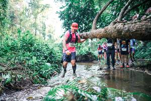 BIB: 
                            <button type="button" onclick="openModal(25453374)" class="btn btn-primary btn-sm float-right btn-popup" data-toggle="modal" data-target=".modal-high-quality">
                        <i class="fas fa-shopping-cart"></i> Add to Cart
                    </button>
                                            <button type="button" onclick="isThisMe(25453374, true)" class="btn btn-success btn-sm float-right btn-popup btn-isme hidden" data-toggle="tooltip" data-placement="bottom" title="นี่คือรูปของคุณใช่ไหม คลิกที่นี่เพื่อเอาเข้าอัลบั้ม">
                        <i class="fas fa-plus"></i> Add to album
                    </button>
                    <button type="button" onclick="isThisMe(25453374, false)" class="btn btn-warning btn-sm float-right btn-popup btn-isnotme hidden">
                        <i class="fas fa-ban"></i> Remove from album
                    </button>